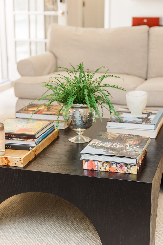 Coffee table with books and a plant in a living room setting